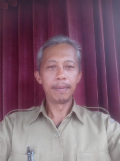 I DEWA PUTU ANOM WIBAWA